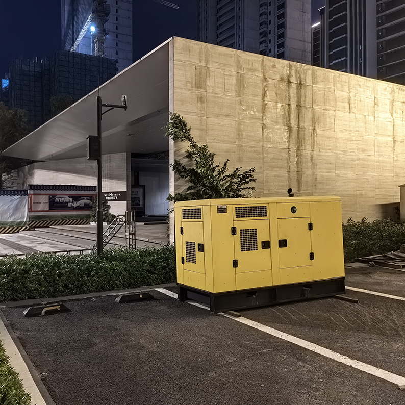 广东省柴油发电机不发电的原因解析