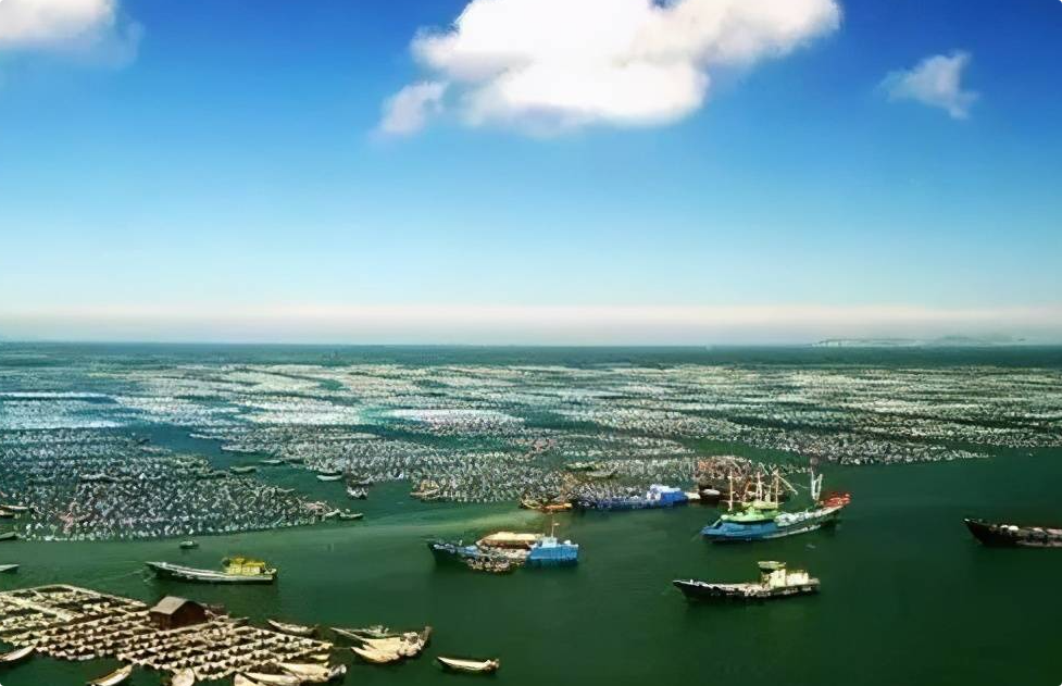 道依茨250KW渔场发电机出租租赁